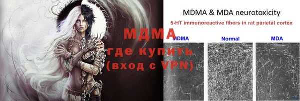 трава Медвежьегорск