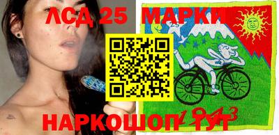 гидропоника Дубна