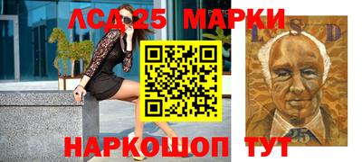 гидропоника Дубна